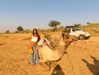 noa_mendel_ Altpins Profile Picture