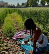 noa_mendel_ Altpins Profile Picture