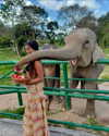 noa_mendel_ Altpins Profile Picture