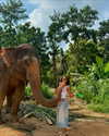 noa_mendel_ Altpins Profile Picture