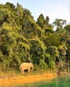 noa_mendel_ Altpins Profile Picture