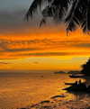 noa_mendel_ Altpins Profile Picture