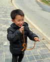 noa_mendel_ Altpins Profile Picture