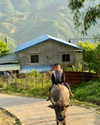 noa_mendel_ Altpins Profile Picture