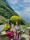 noa_mendel_ Altpins Profile Picture