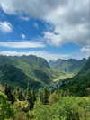 noa_mendel_ Altpins Profile Picture