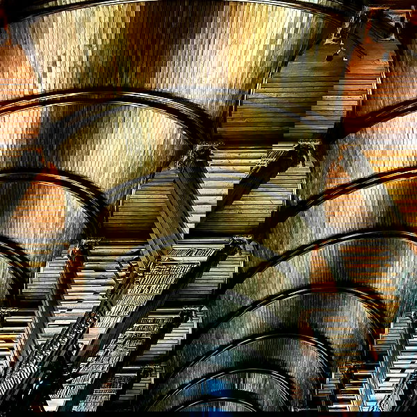 noa_zemlyanski noa_zemlyanski archive image