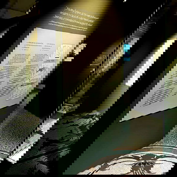 noa_zemlyanski noa_zemlyanski archive image