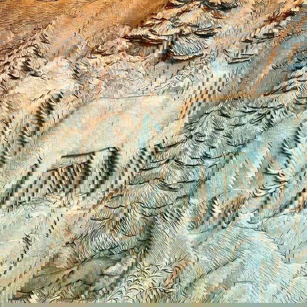 noa_zemlyanski noa_zemlyanski archive image