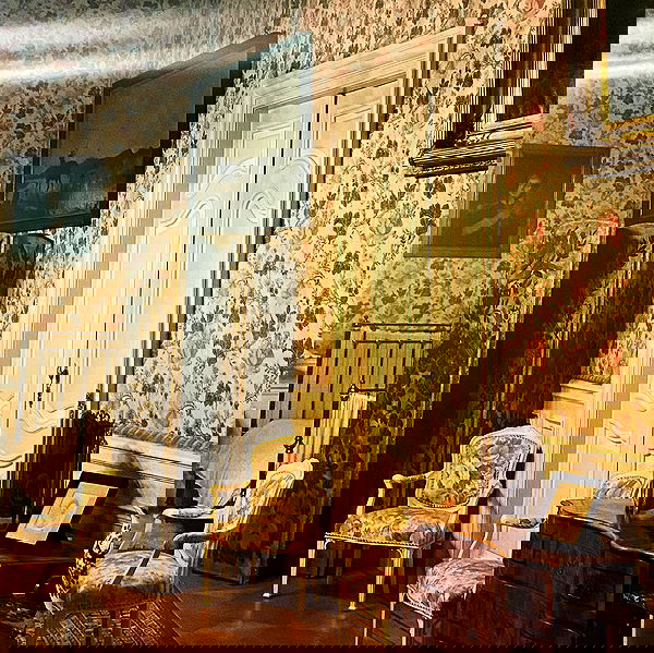 noa_zemlyanski noa_zemlyanski archive image