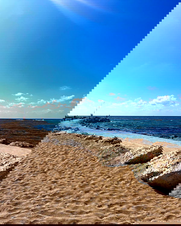 noammalka___ noammalka___ archive image