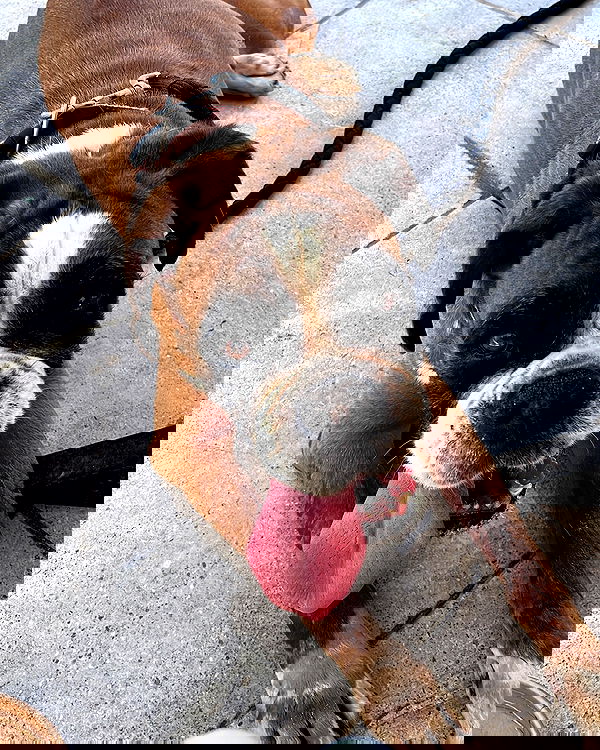 noammalka___ noammalka___ archive image