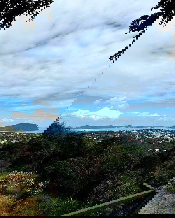 noammalka___ noammalka___ archive image