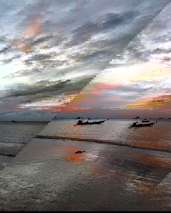 noammalka___ noammalka___ archive image