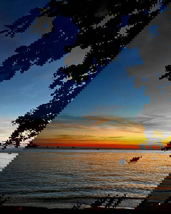 noammalka___ noammalka___ archive image