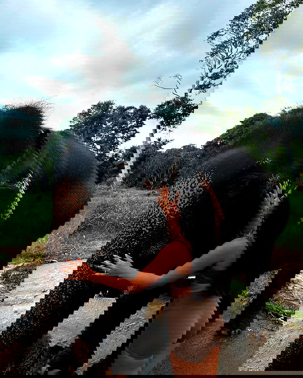 noammalka___ noammalka___ archive image