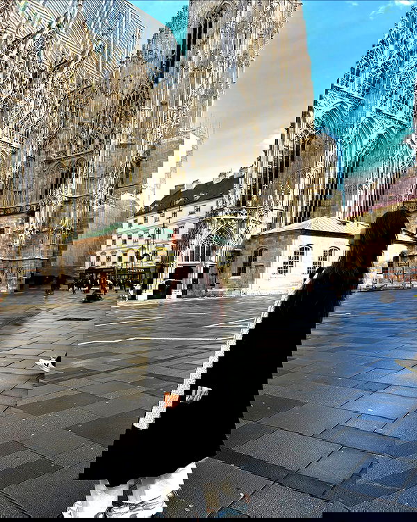 noammalka___ noammalka___ archive image