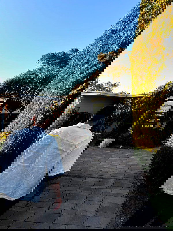 noammalka___ noammalka___ archive image