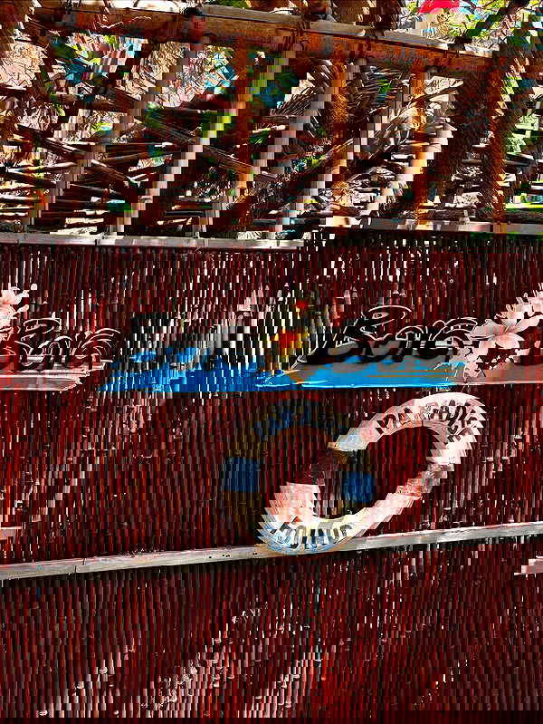 noammalka___ noammalka___ archive image