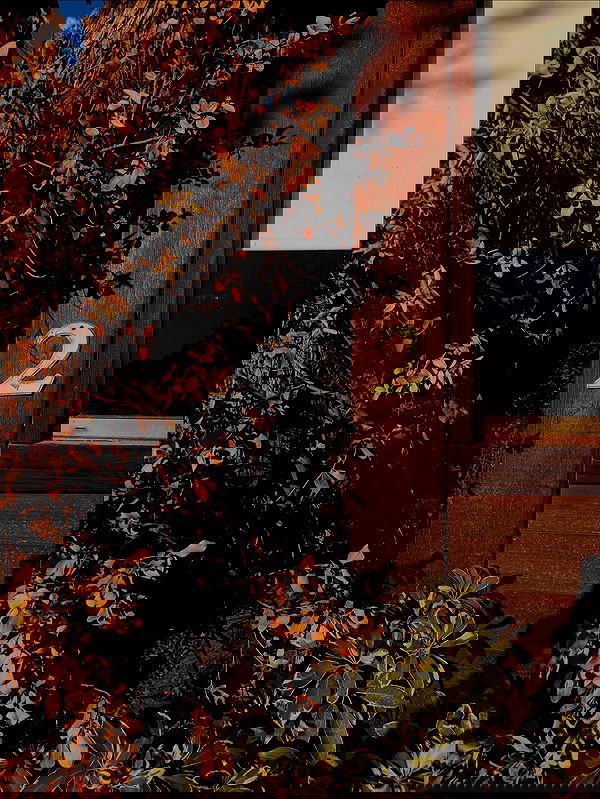 noammalka___ noammalka___ archive image