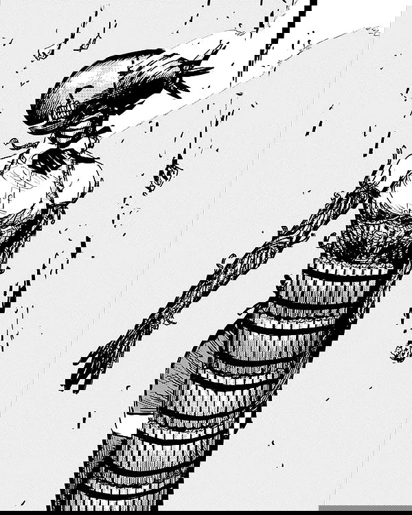 norafawn norafawn archive image