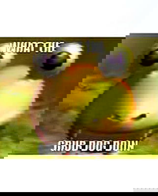 norafawn norafawn archive image