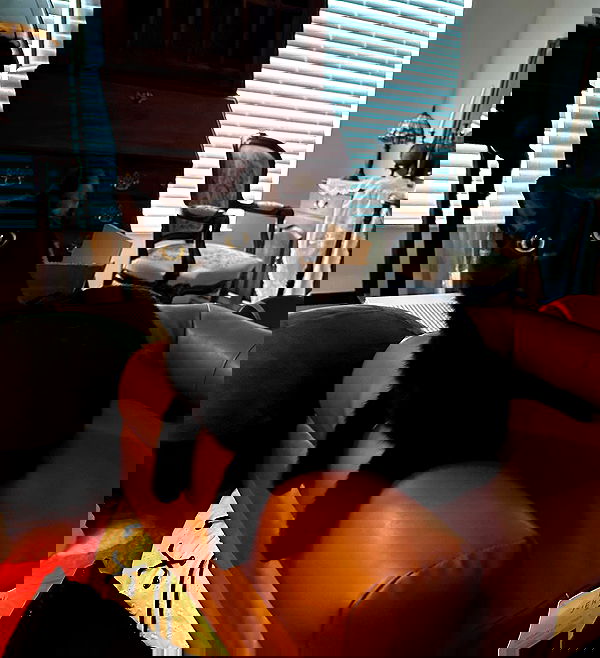 norafawn norafawn archive image