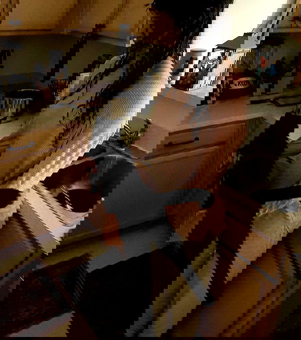 norafawn norafawn archive image