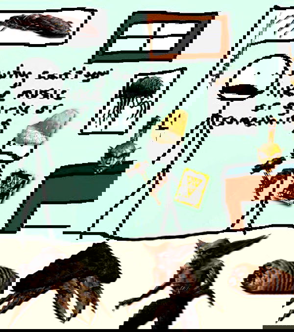 norafawn norafawn archive image