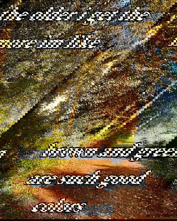 norafawn norafawn archive image