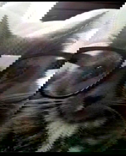 norafawn norafawn archive image