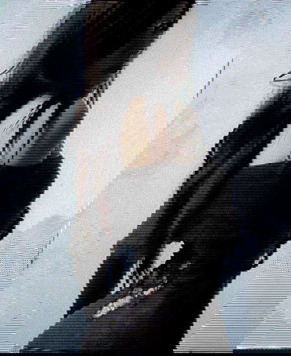 norafawn norafawn archive image