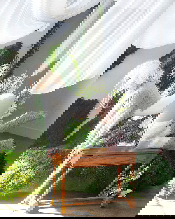 norafawn norafawn archive image