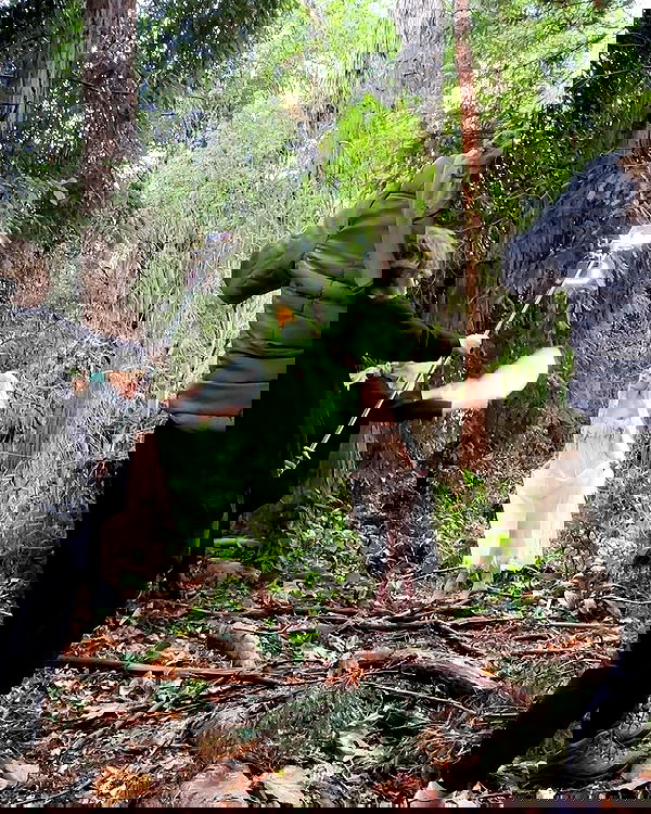 norafawn norafawn archive image