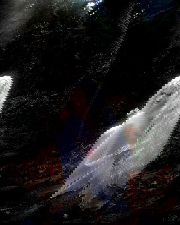 norafawn norafawn archive image