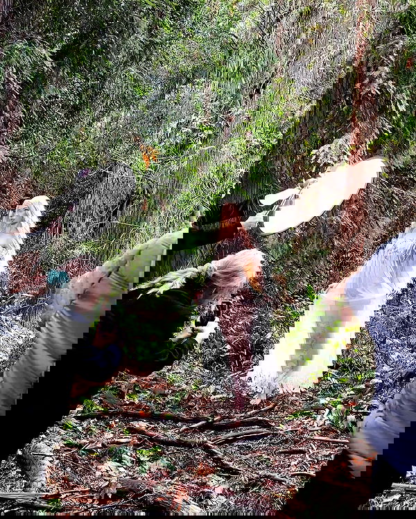 norafawn norafawn archive image