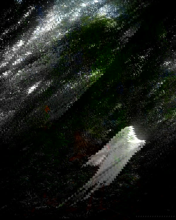 norafawn norafawn archive image