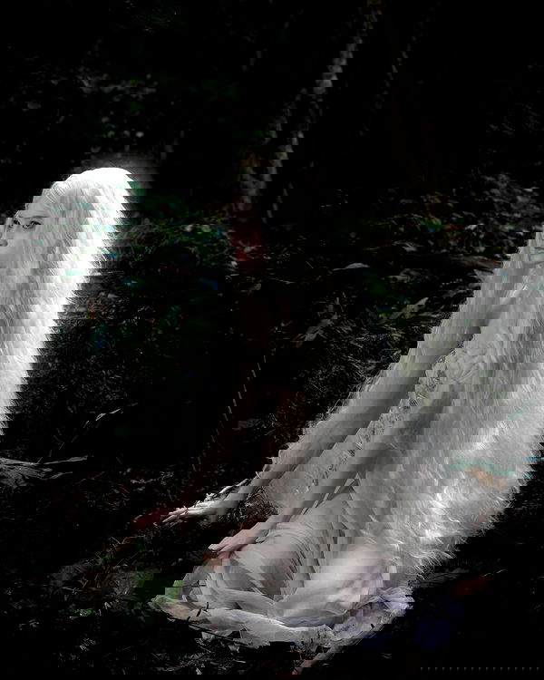 norafawn norafawn archive image