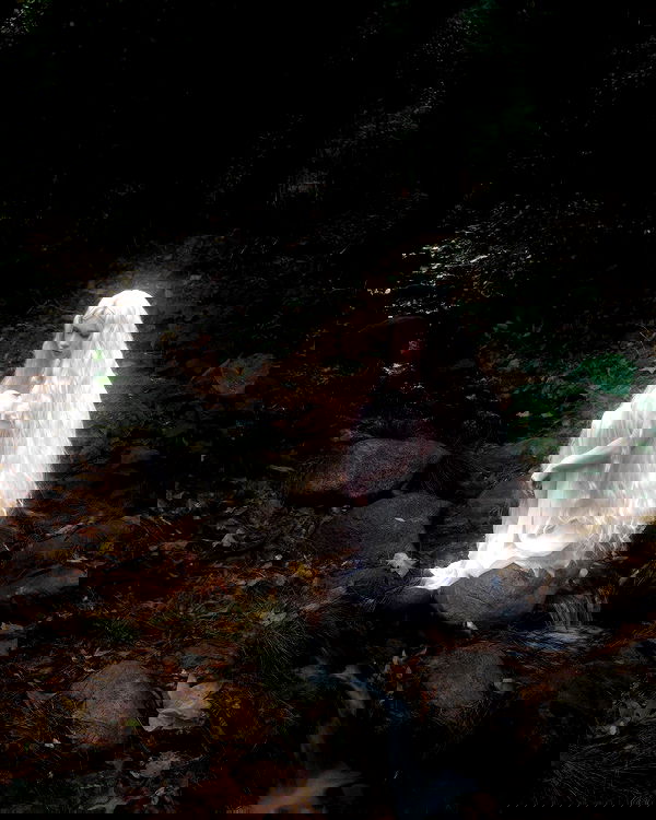 norafawn norafawn archive image