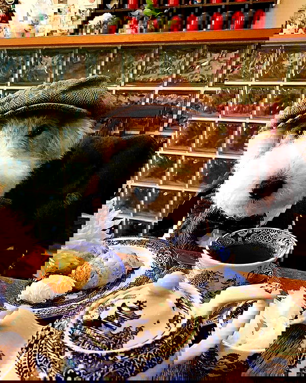 norafawn norafawn archive image