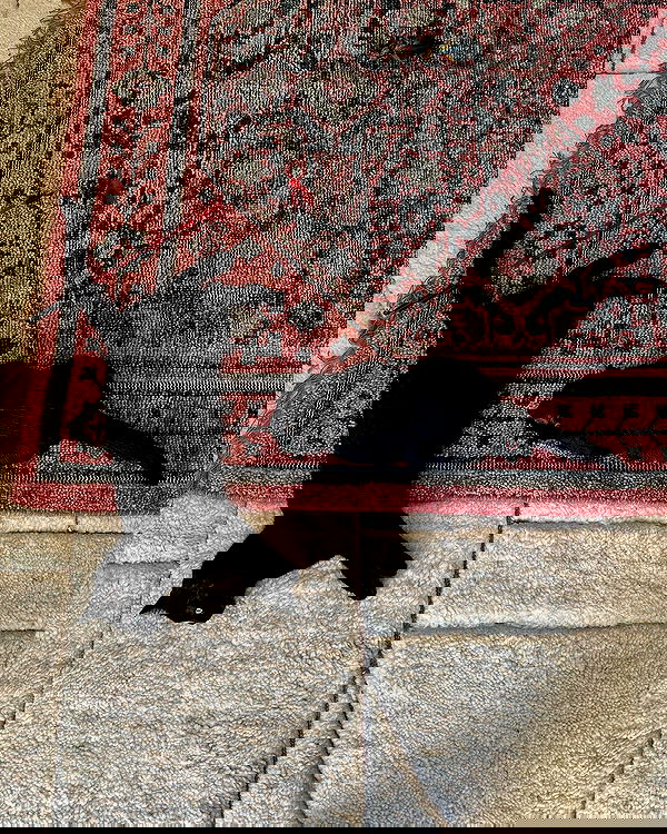 norafawn norafawn archive image