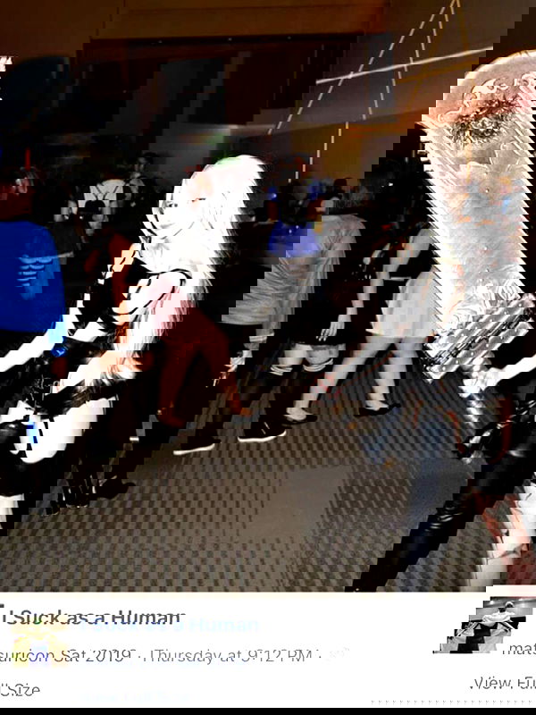 norafawn norafawn archive image