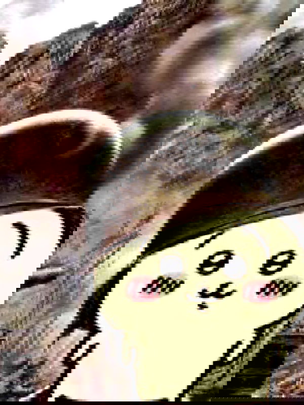 norafawn norafawn archive image