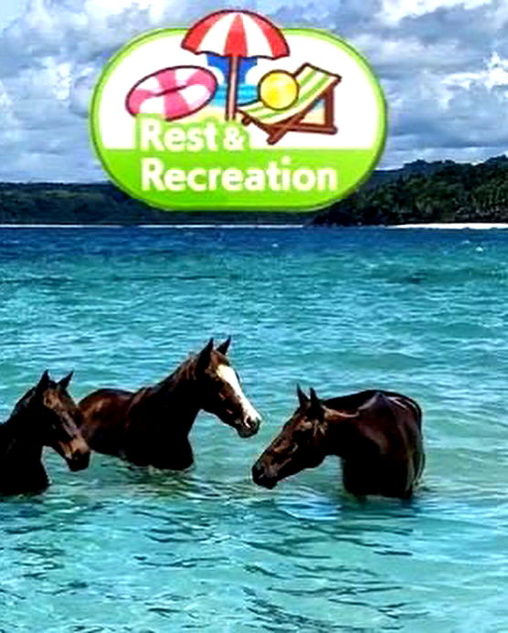 norafawn norafawn archive image