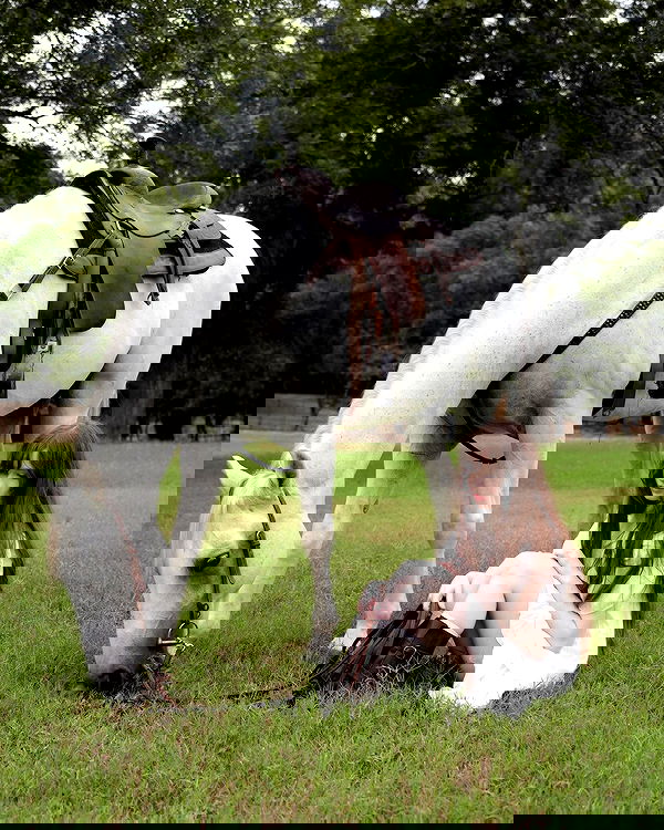 norafawn norafawn archive image