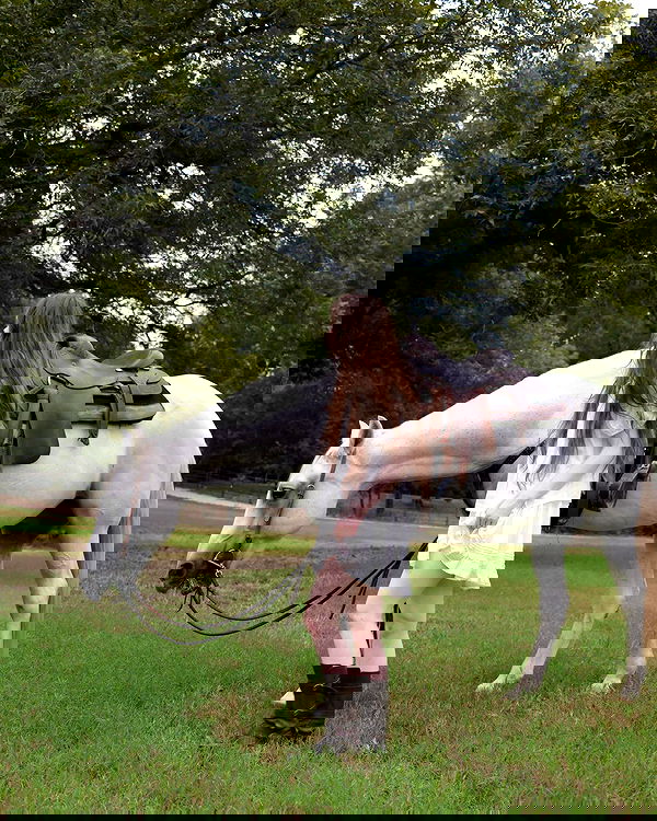 norafawn norafawn archive image