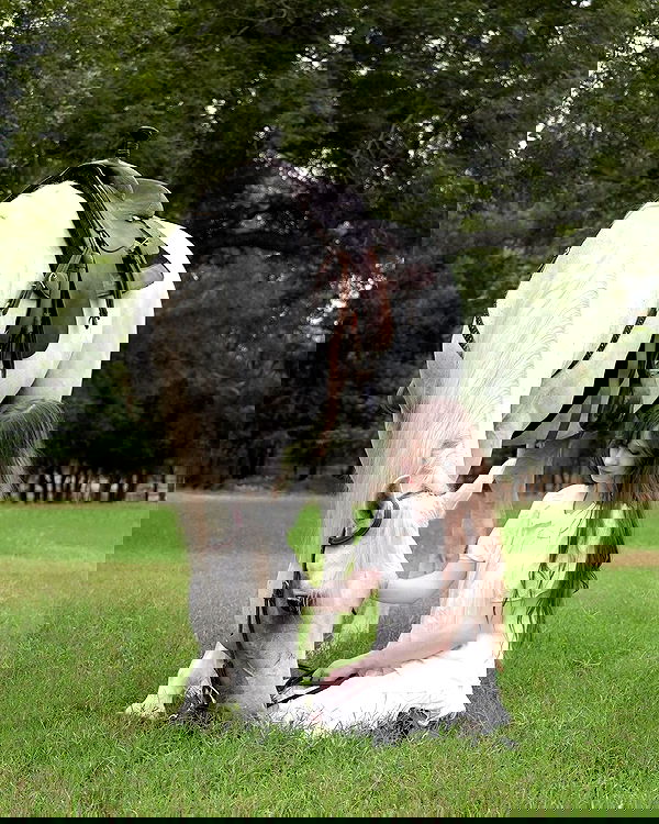 norafawn norafawn archive image