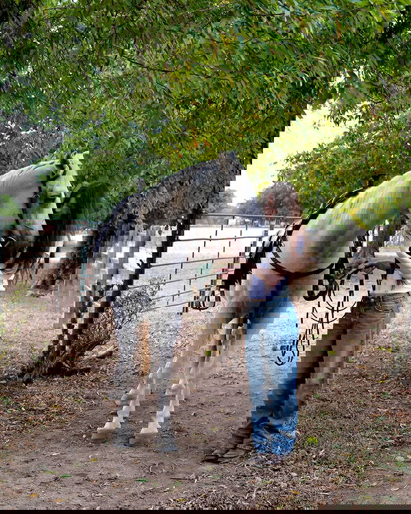 norafawn norafawn archive image