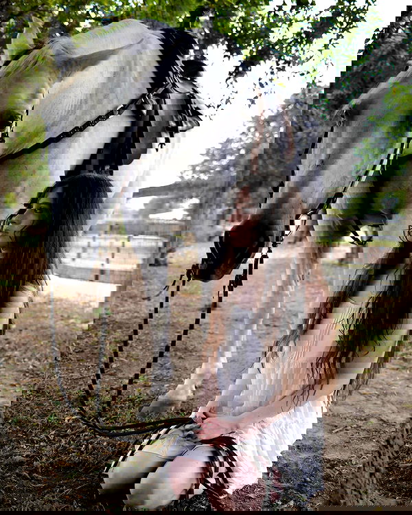 norafawn norafawn archive image