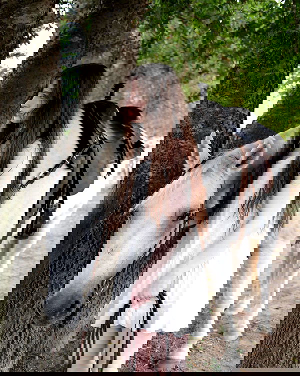 norafawn norafawn archive image